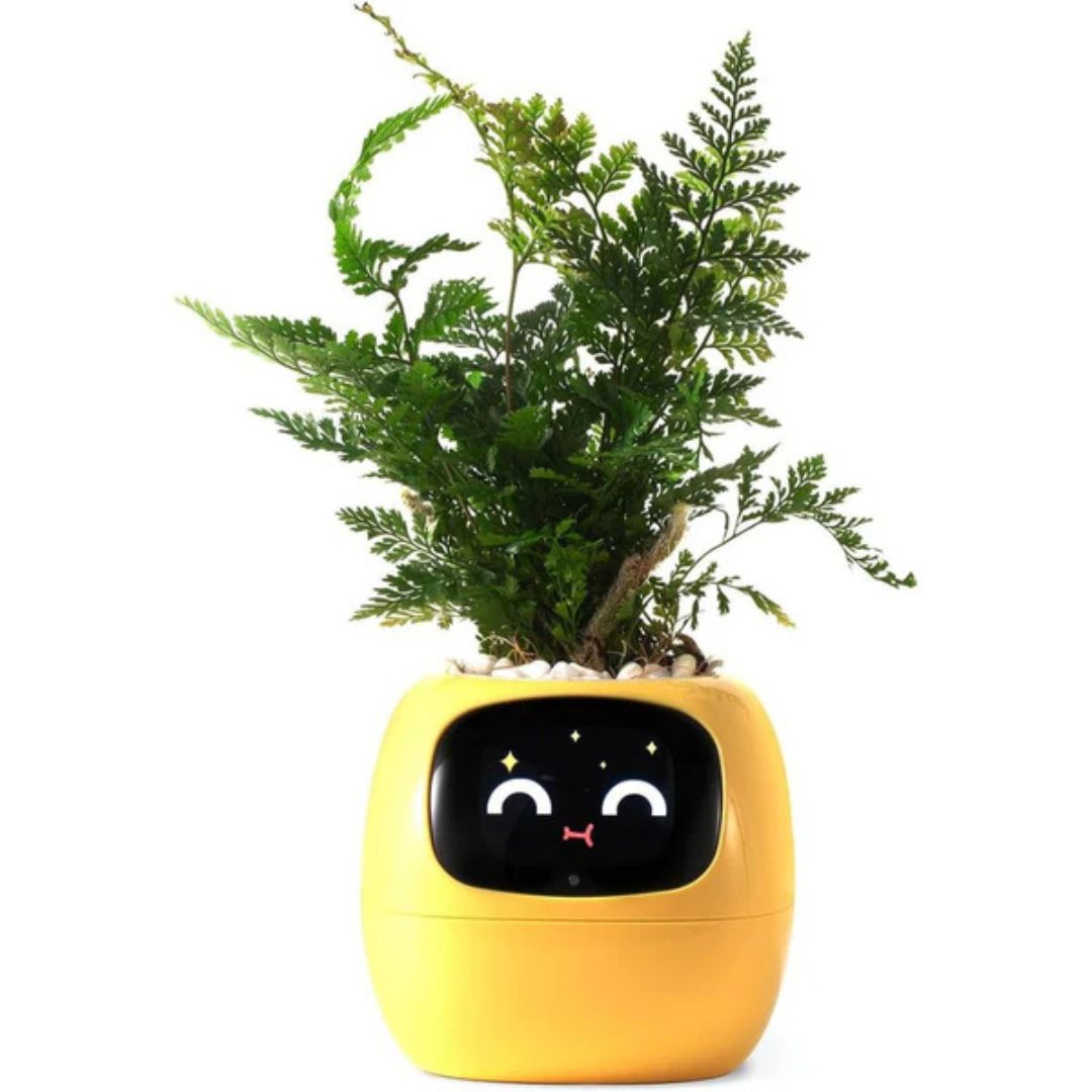 Premium Plant Pot