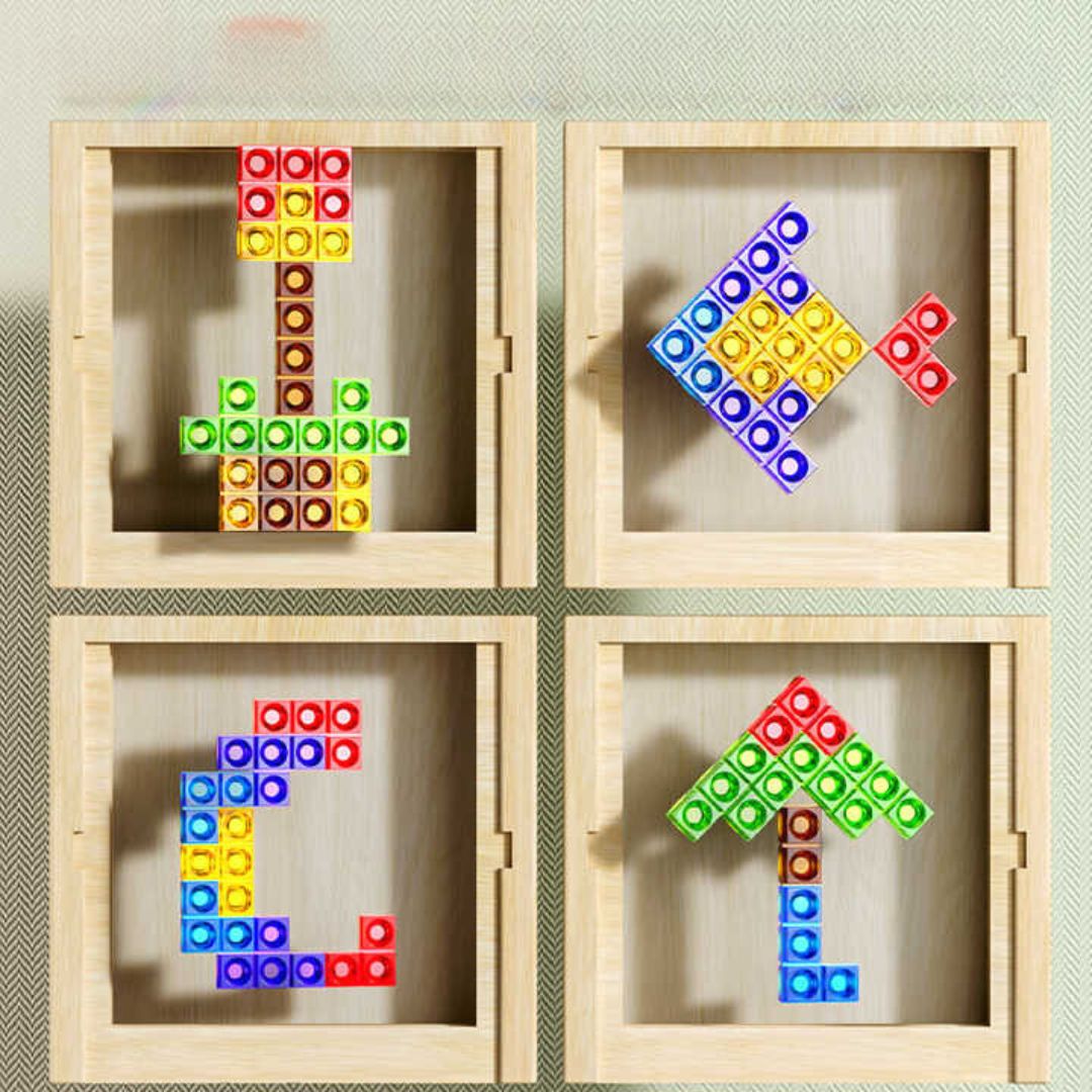 Premium Wooden Brain Teaser Puzzle Game