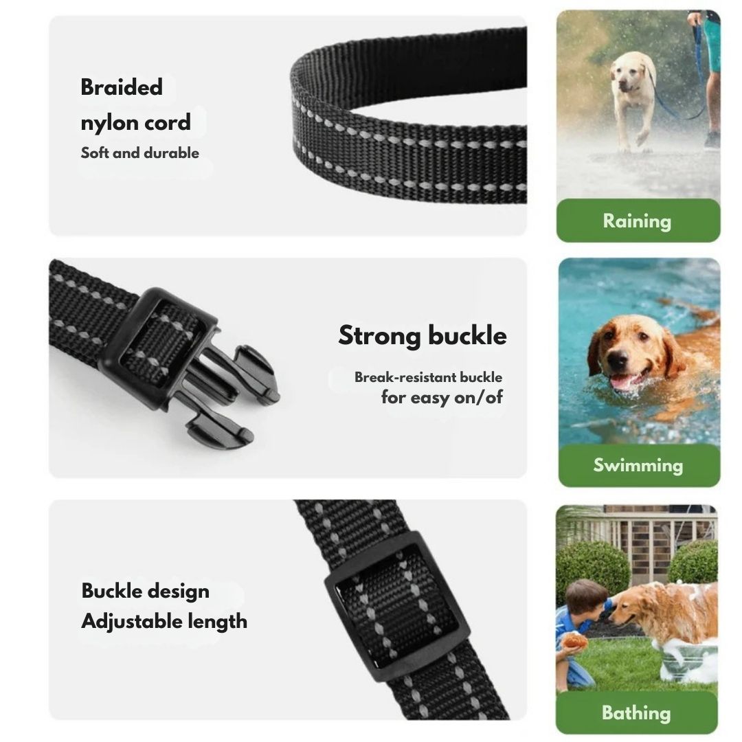 Premium Dog Training Collar & Remote Control