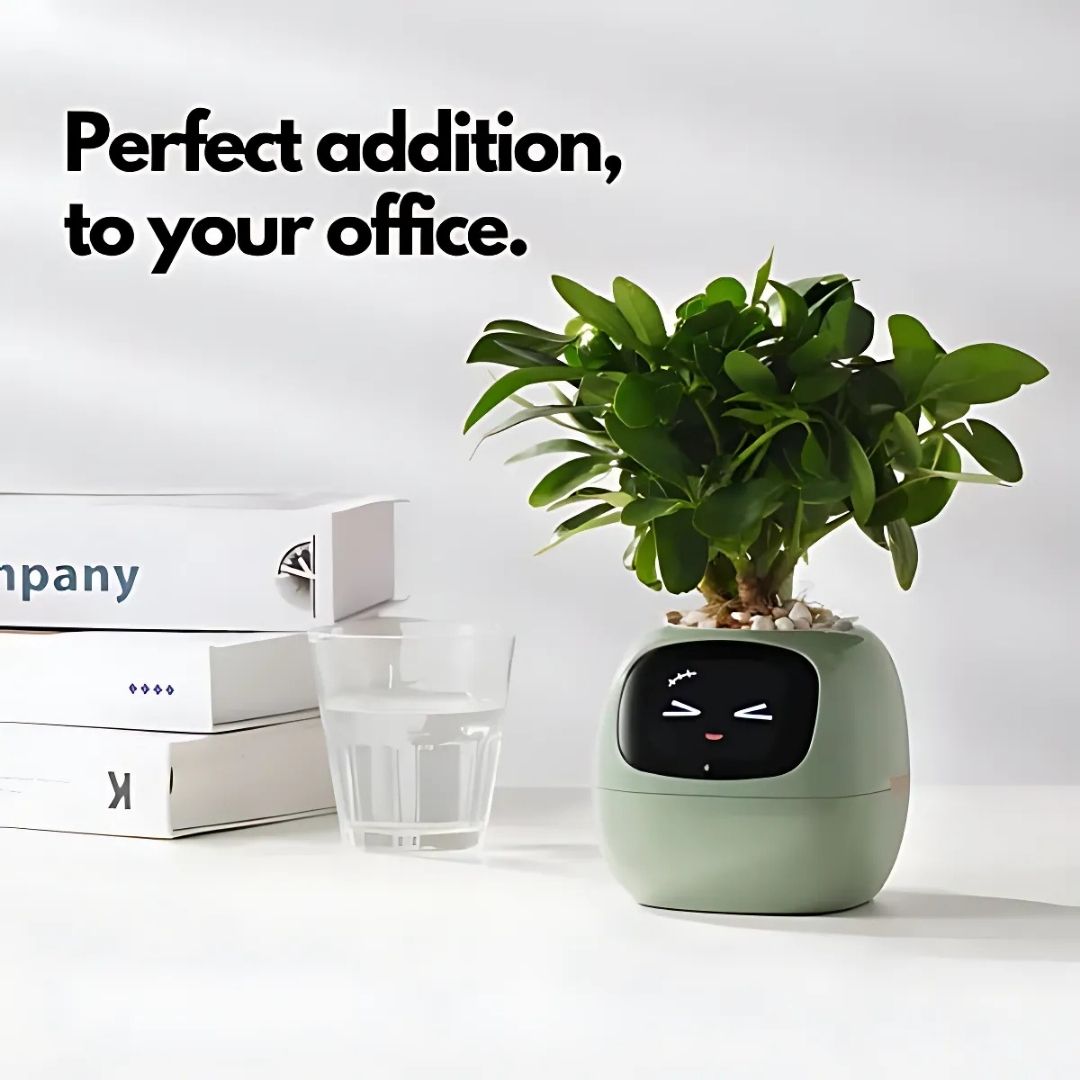 Premium Plant Pot