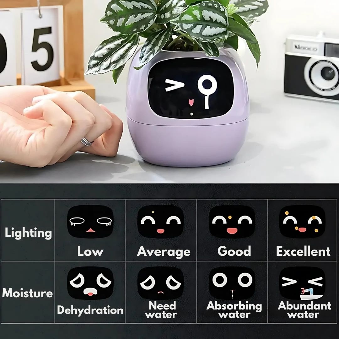 Premium Plant Pot