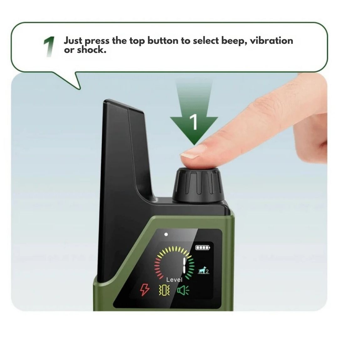 Premium Dog Training Collar & Remote Control