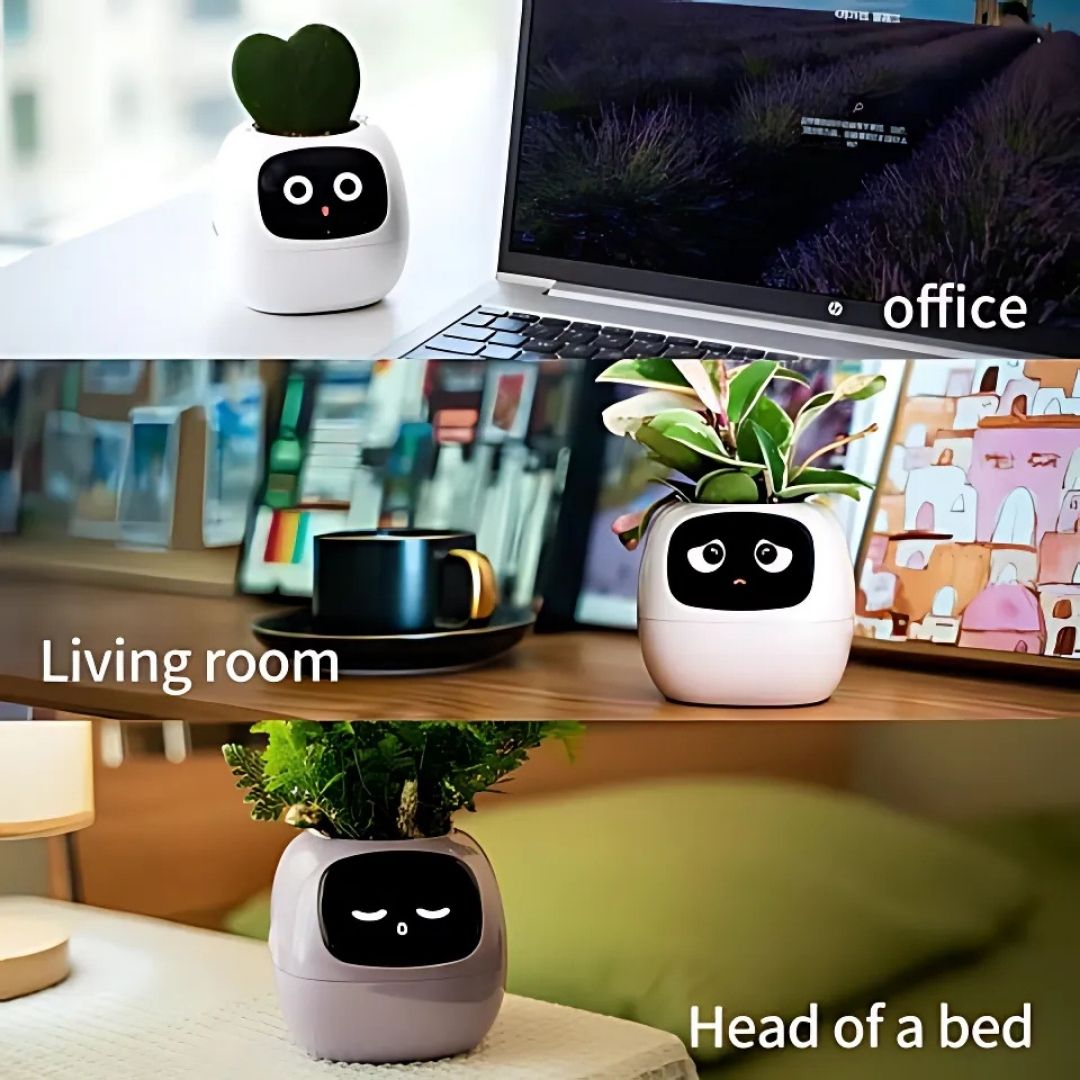 Premium Plant Pot