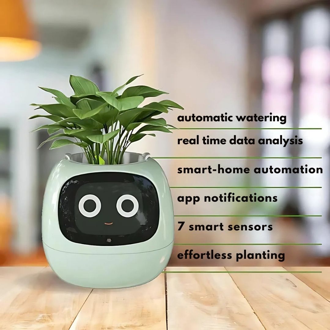Premium Plant Pot