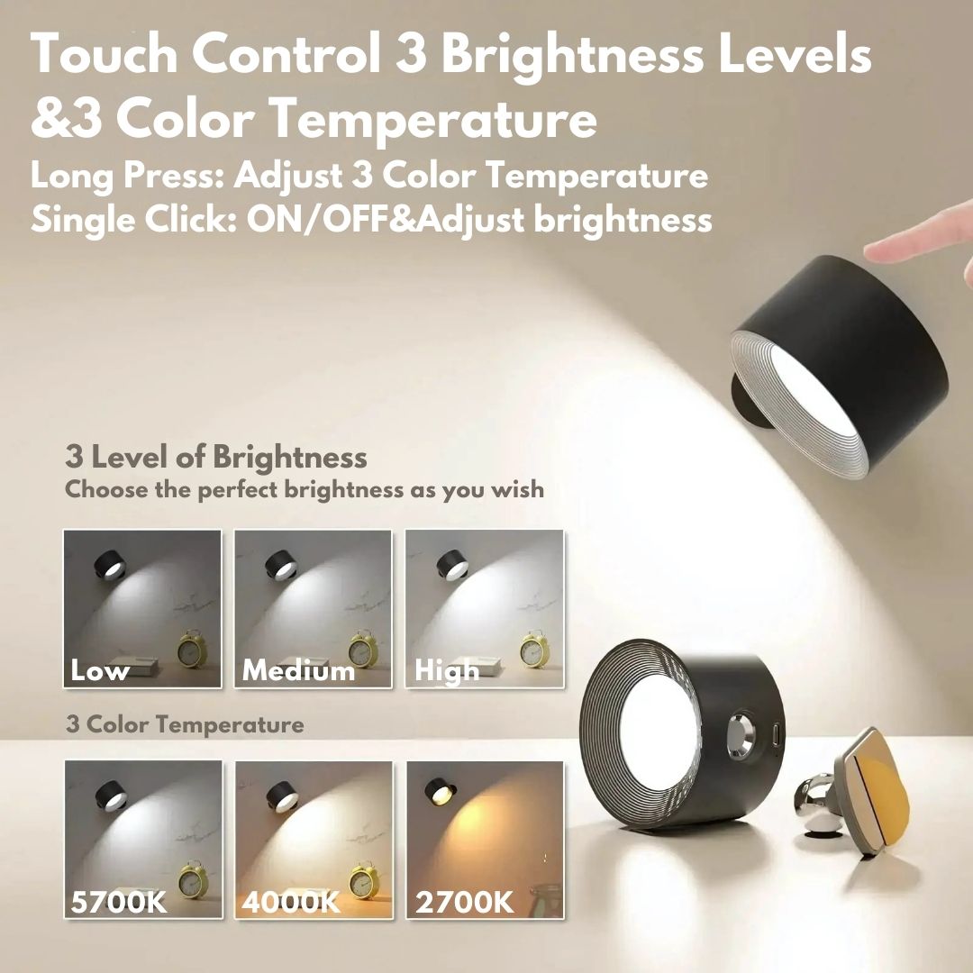Premium Wall Light