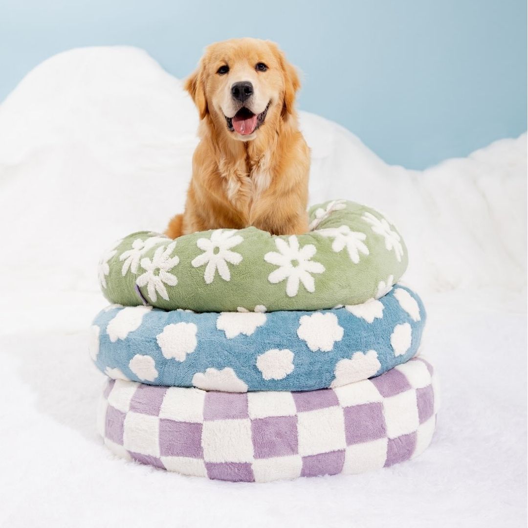 Premium Round Donut Dog Bed