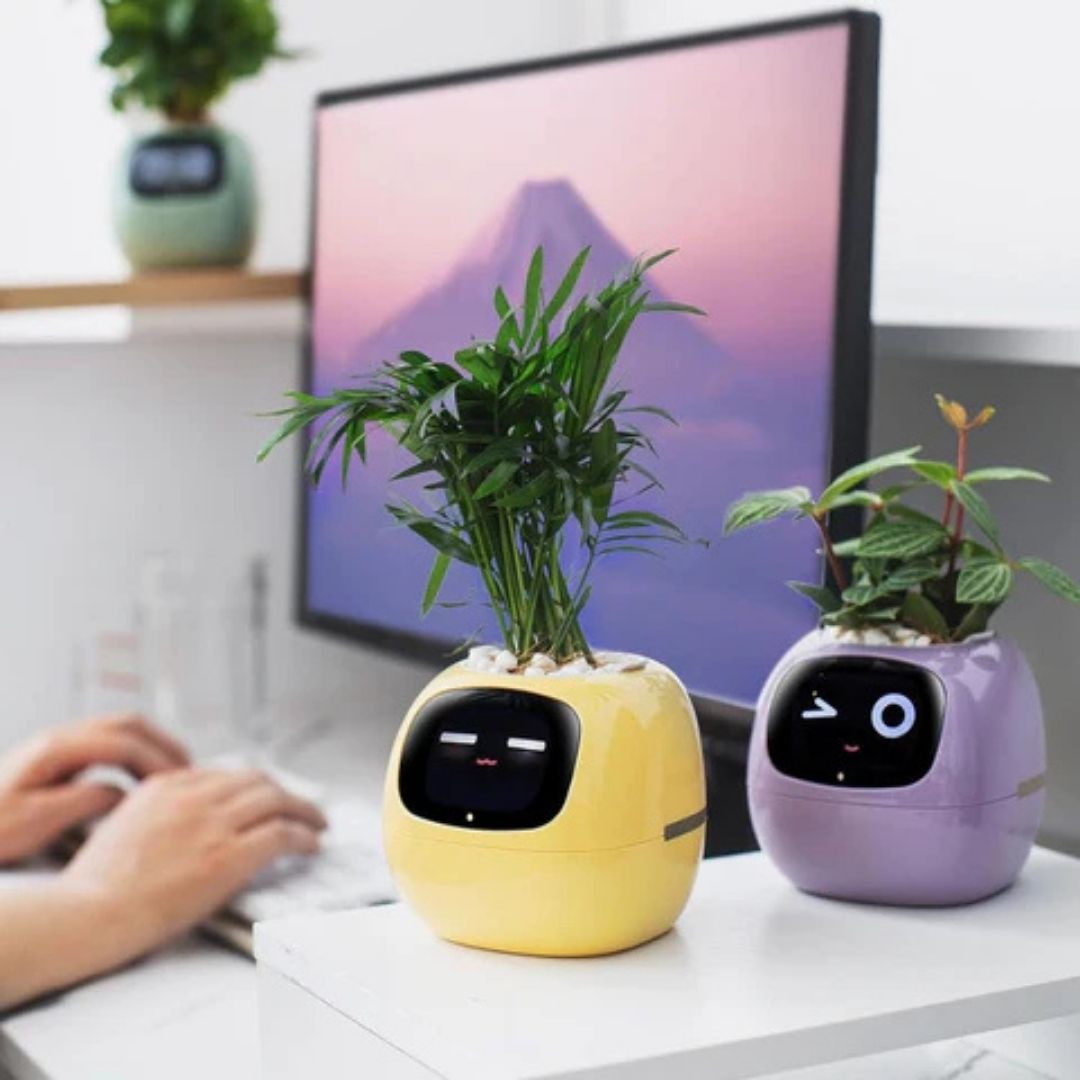 Premium Plant Pot