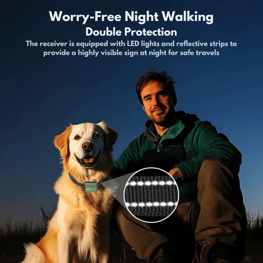 Premium Dog Training Collar & Remote Control