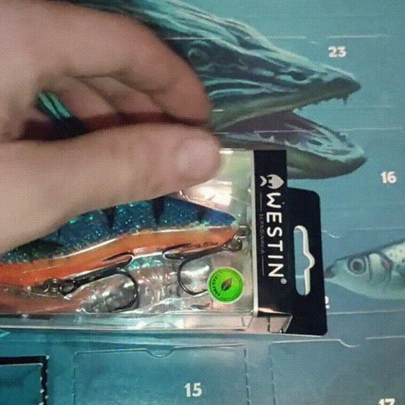 Premium Christmas Fishing Blind Box