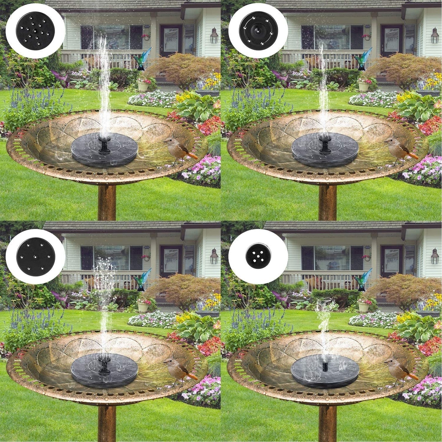 Premium Bird Bath Fountain Pump
