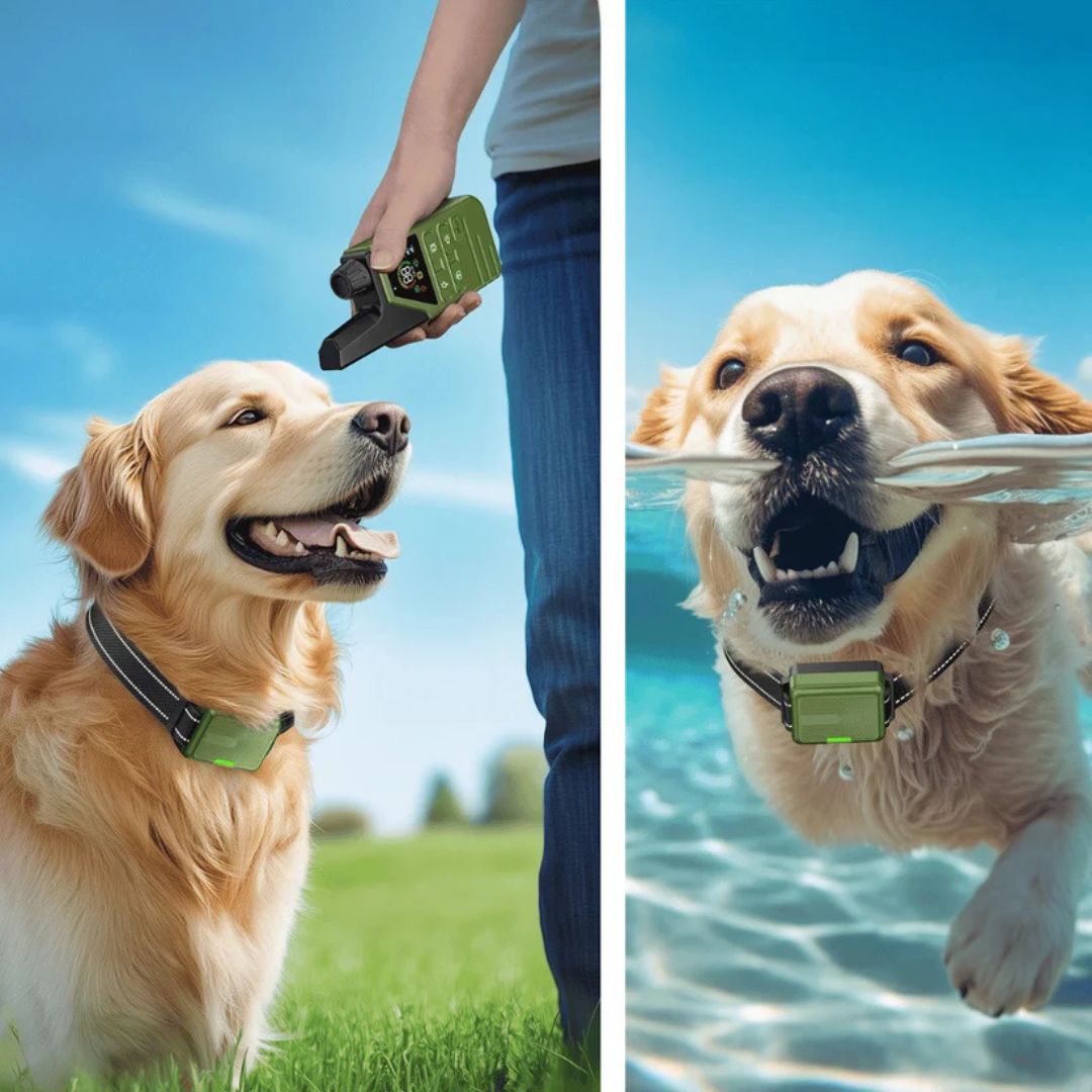 Premium Dog Training Collar & Remote Control