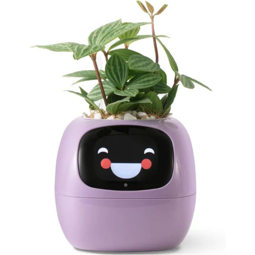 Premium Plant Pot