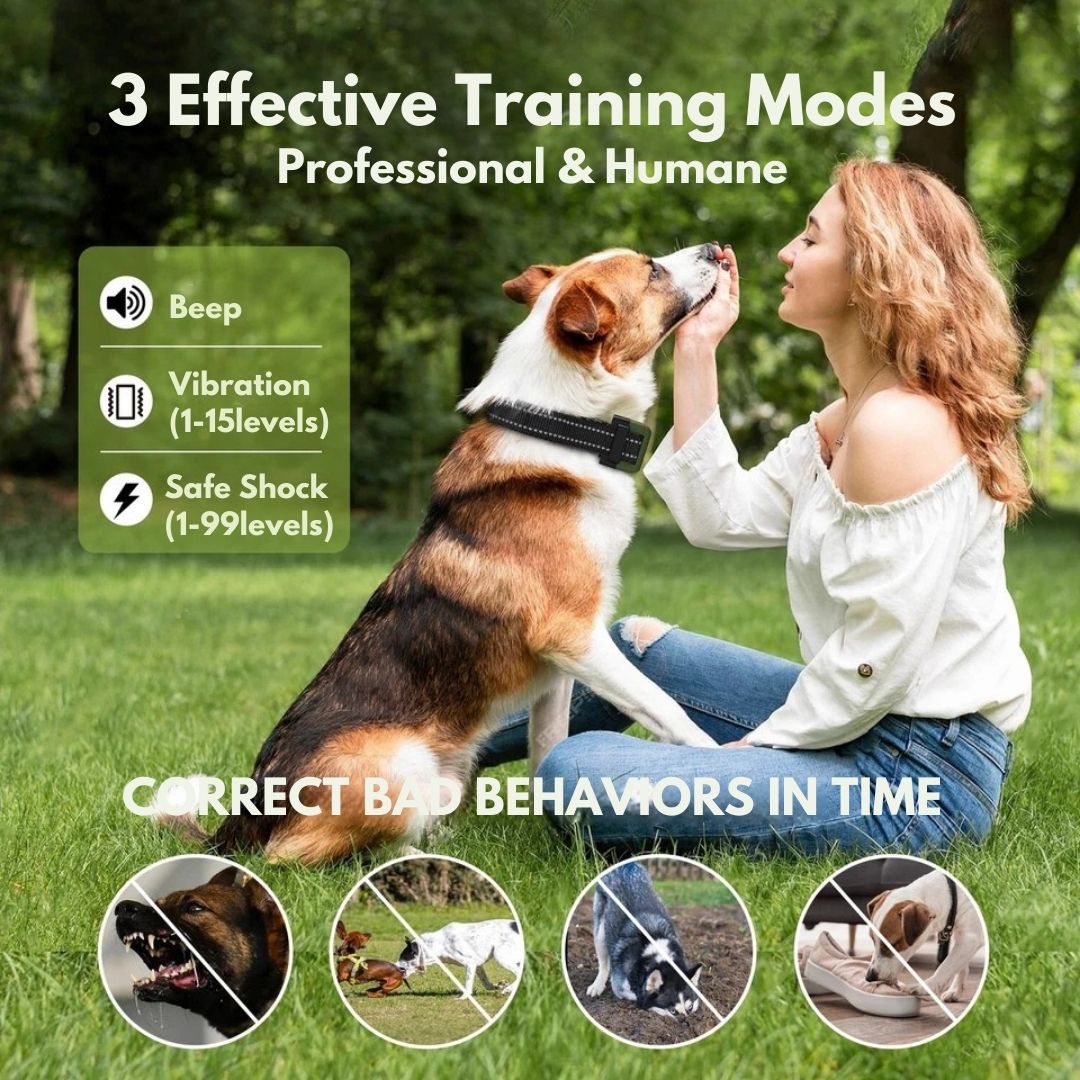 Premium Dog Training Collar & Remote Control