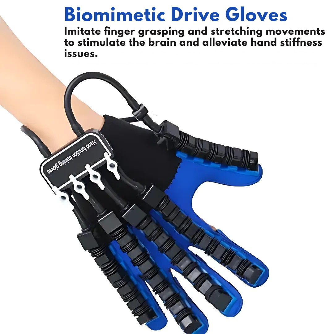 Premium Rehabilitation Gloves for Hands