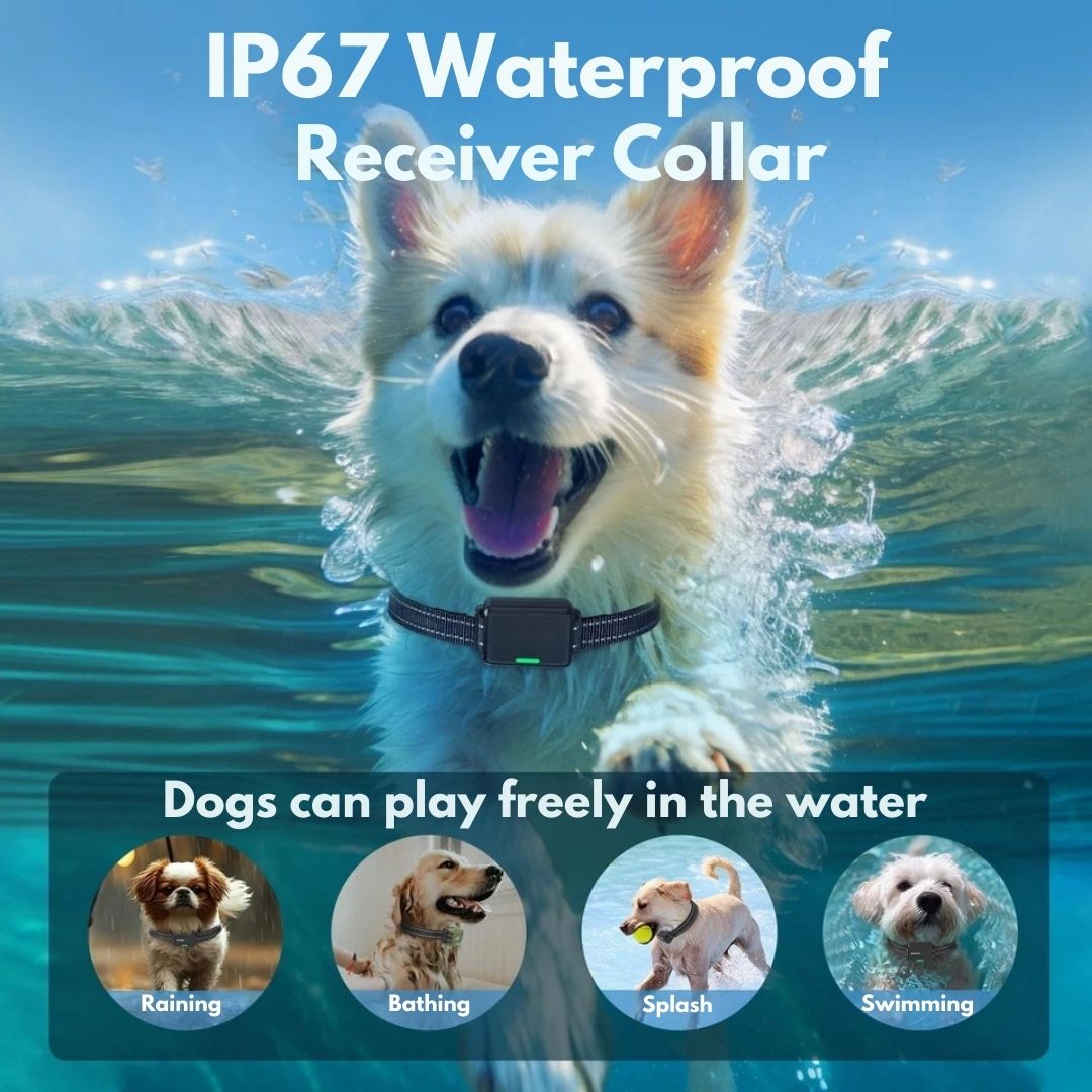 Premium Dog Training Collar & Remote Control