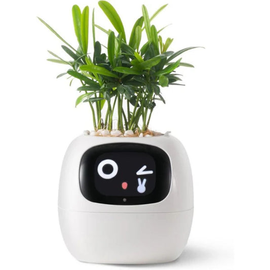 Premium Plant Pot