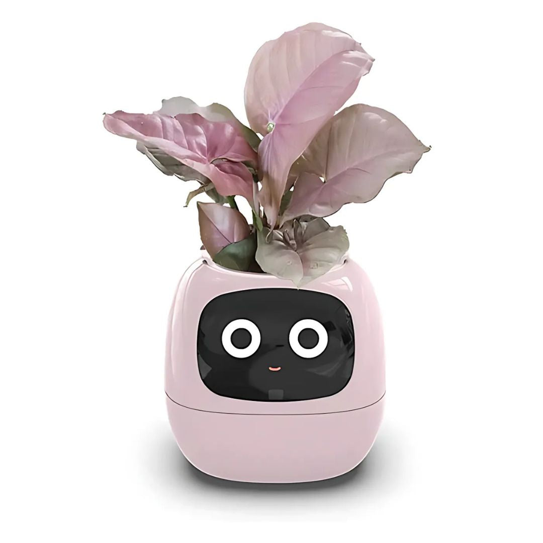 Premium Plant Pot