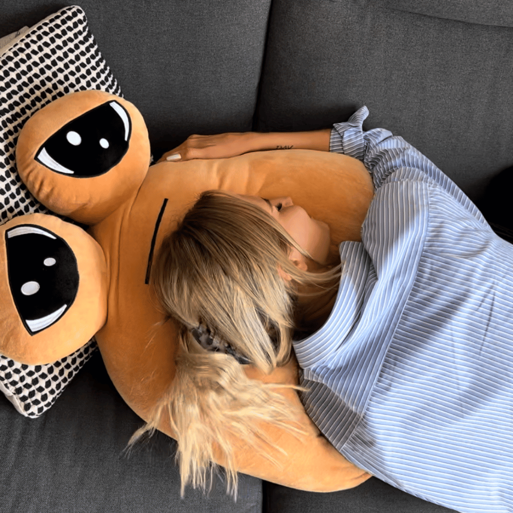 Premium Pillow