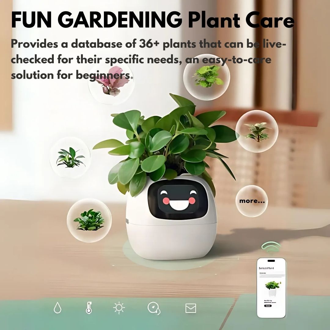 Premium Plant Pot