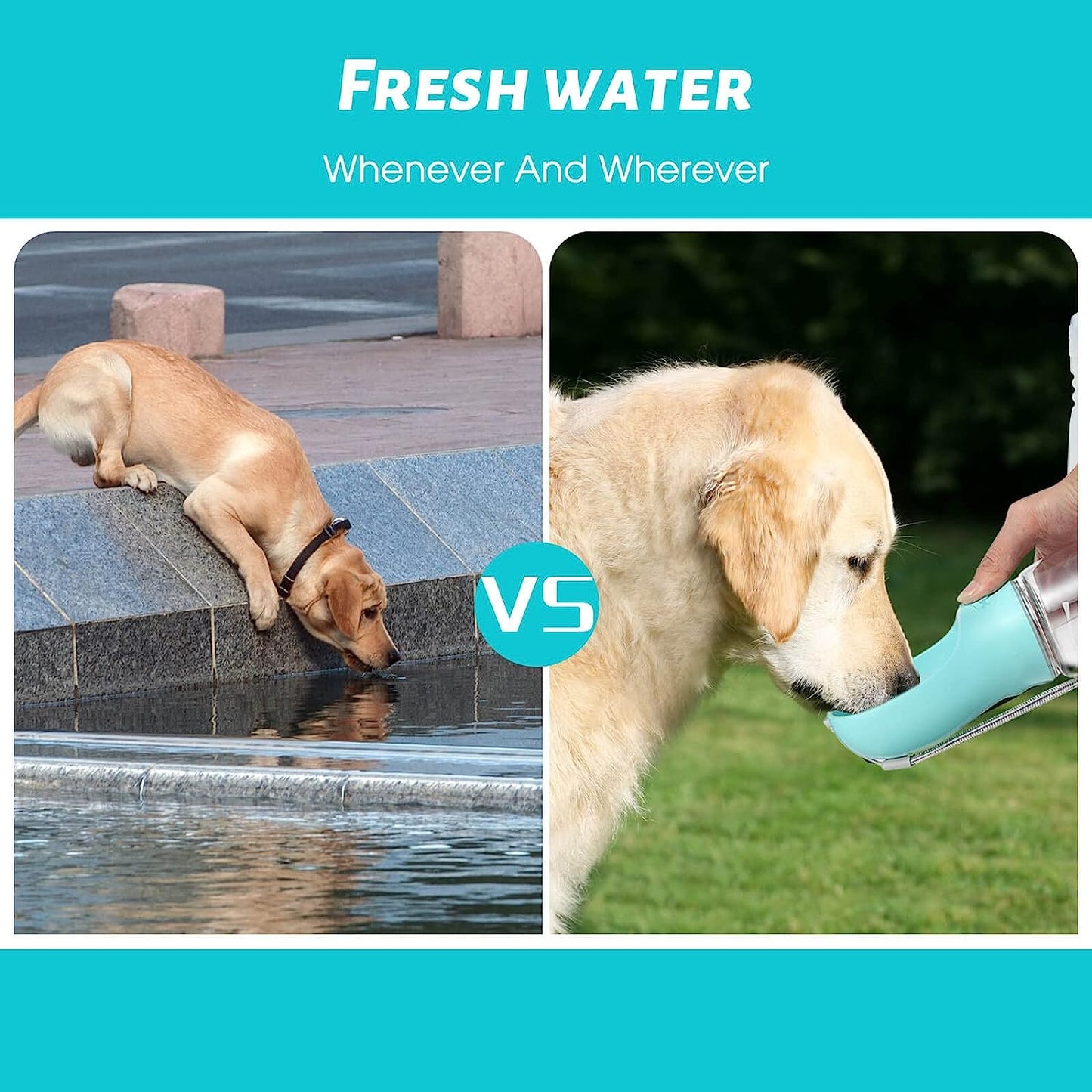 Premium Water Bottle, Leak Proof Portable Puppy Water Dispenser with Drinking Feeder