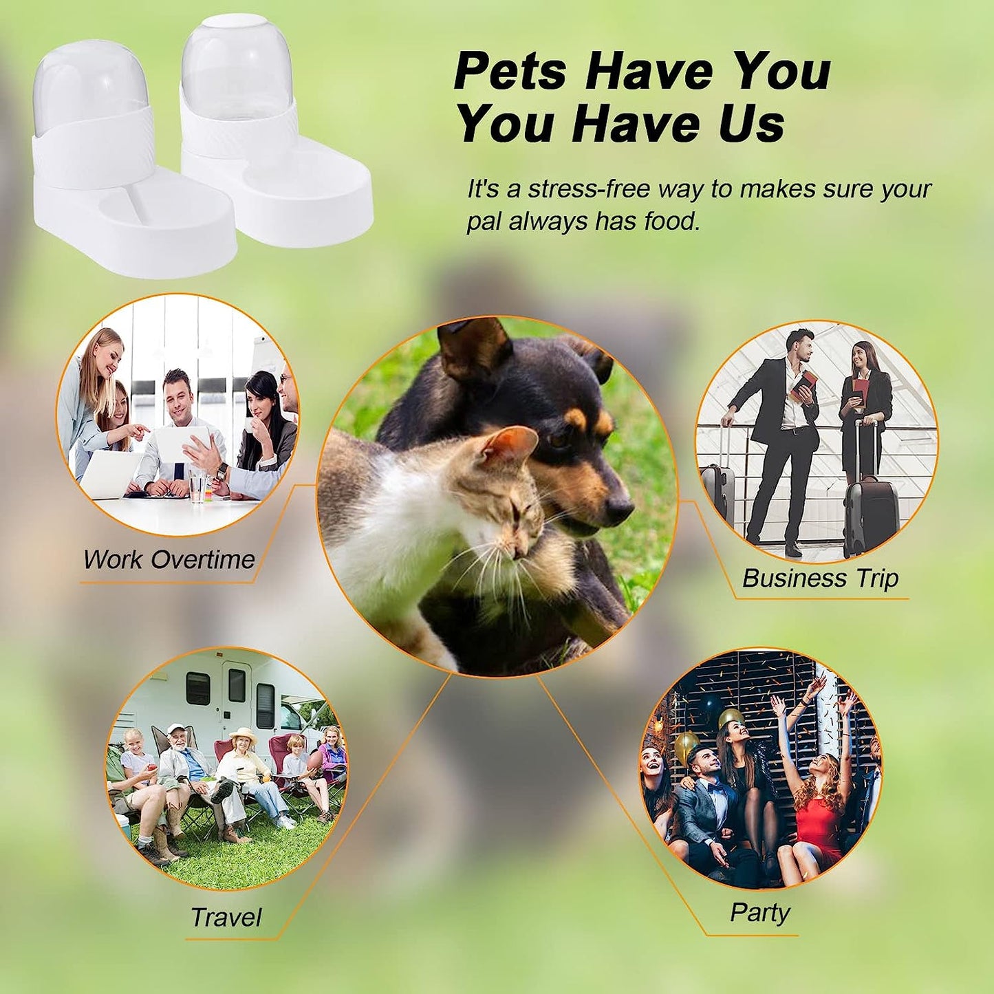 Premium Dog Cat Feeder and Water Dispenser Set