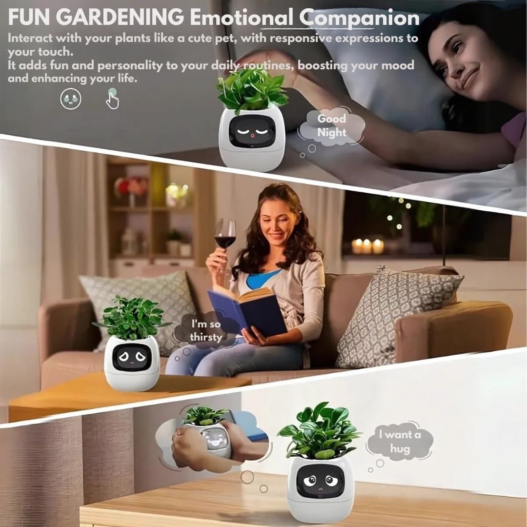 Premium Plant Pot