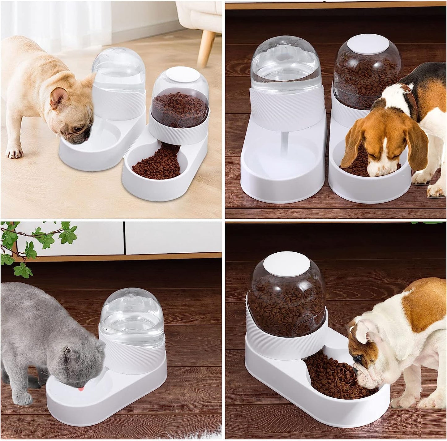 Premium Dog Cat Feeder and Water Dispenser Set