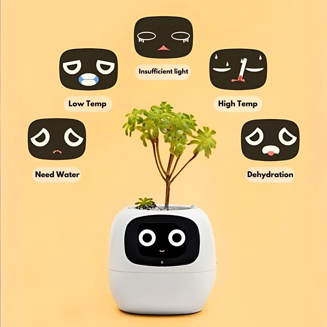 Premium Plant Pot