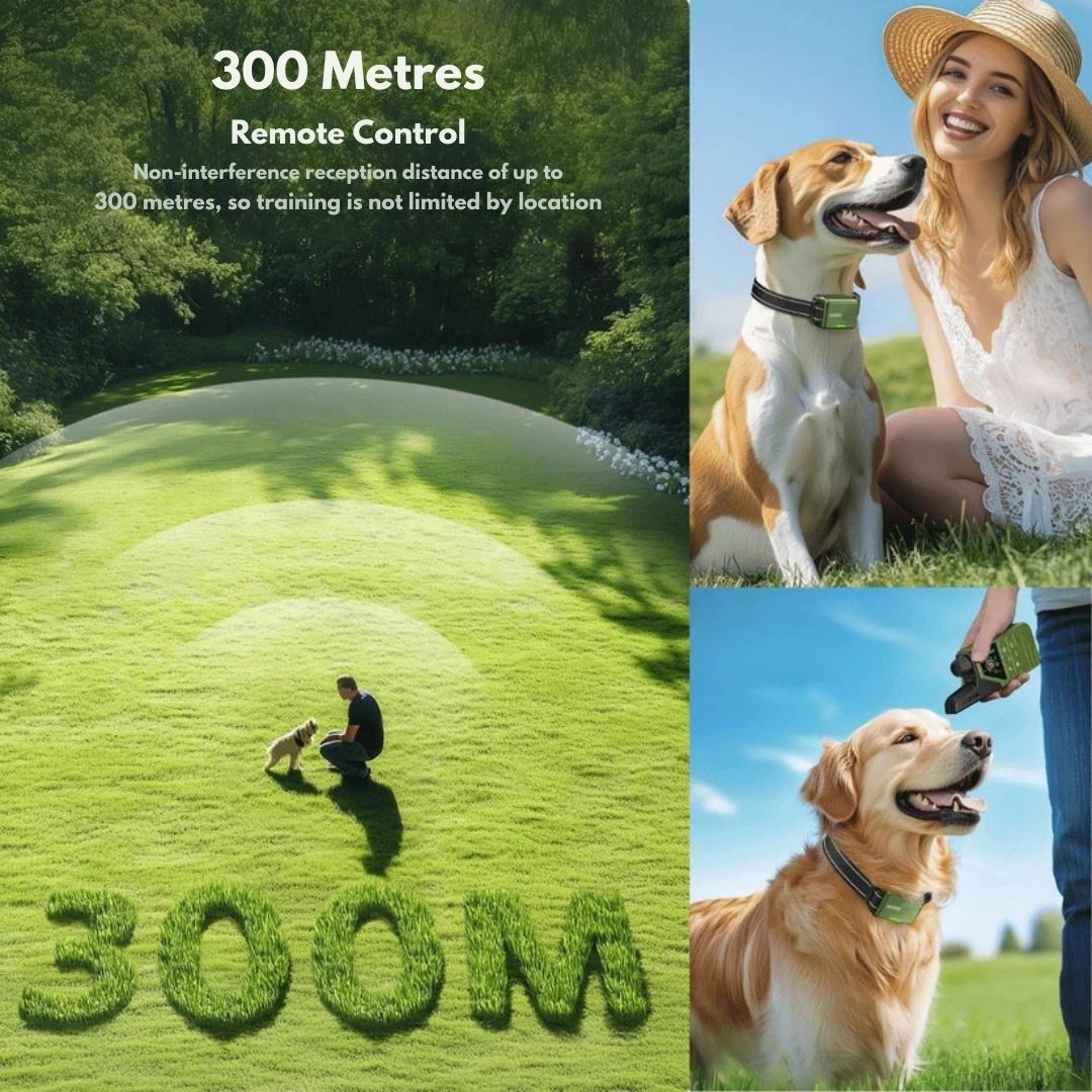 Premium Dog Training Collar & Remote Control