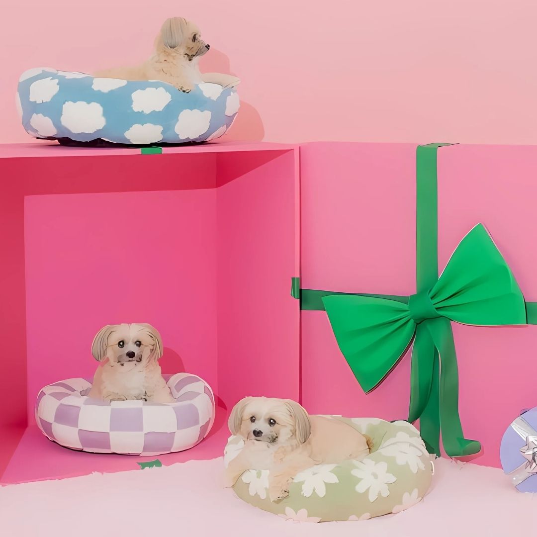 Premium Round Donut Dog Bed