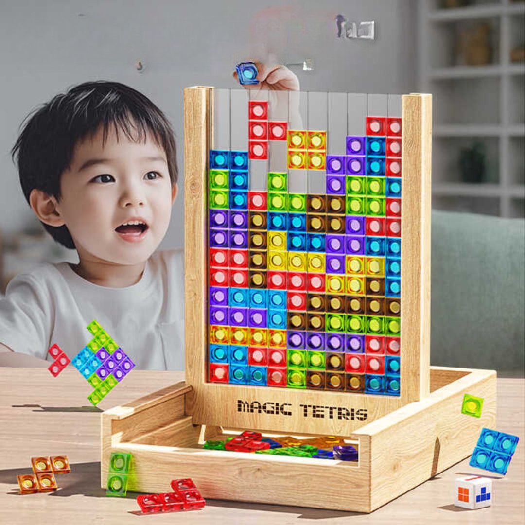 Premium Wooden Brain Teaser Puzzle Game