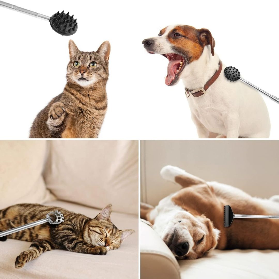 Premium Back Scratcher