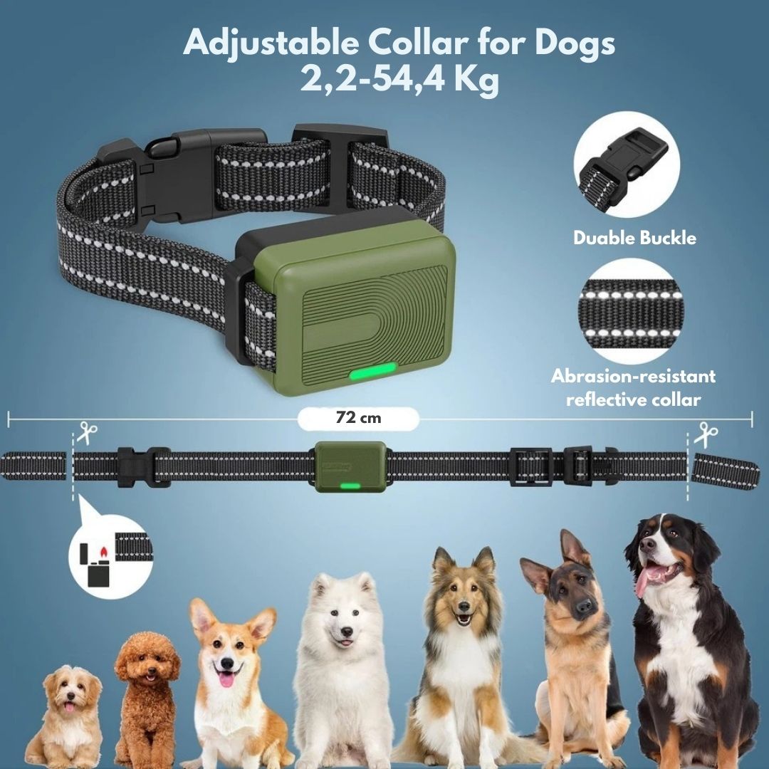 Premium Dog Training Collar & Remote Control