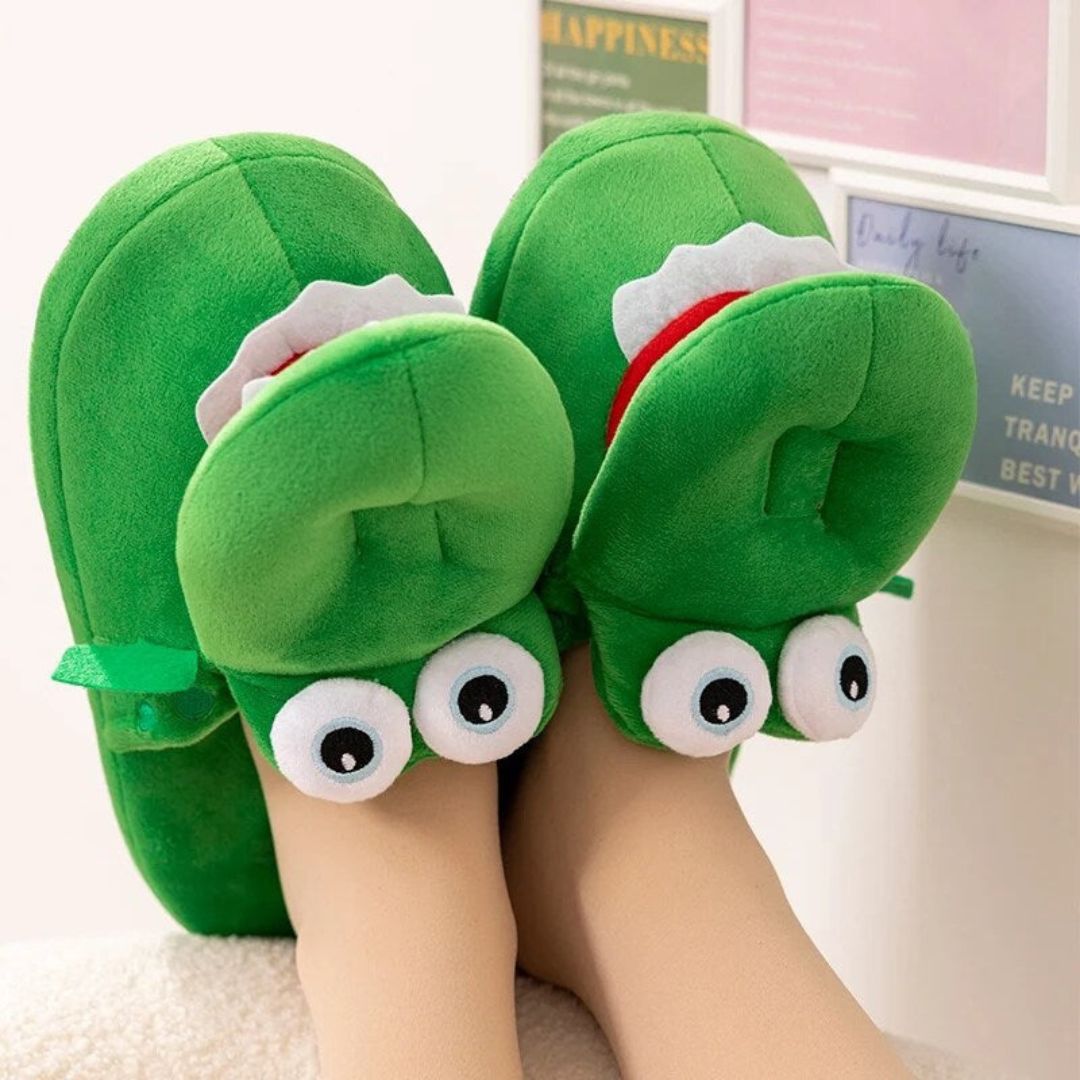 Premium Slippers