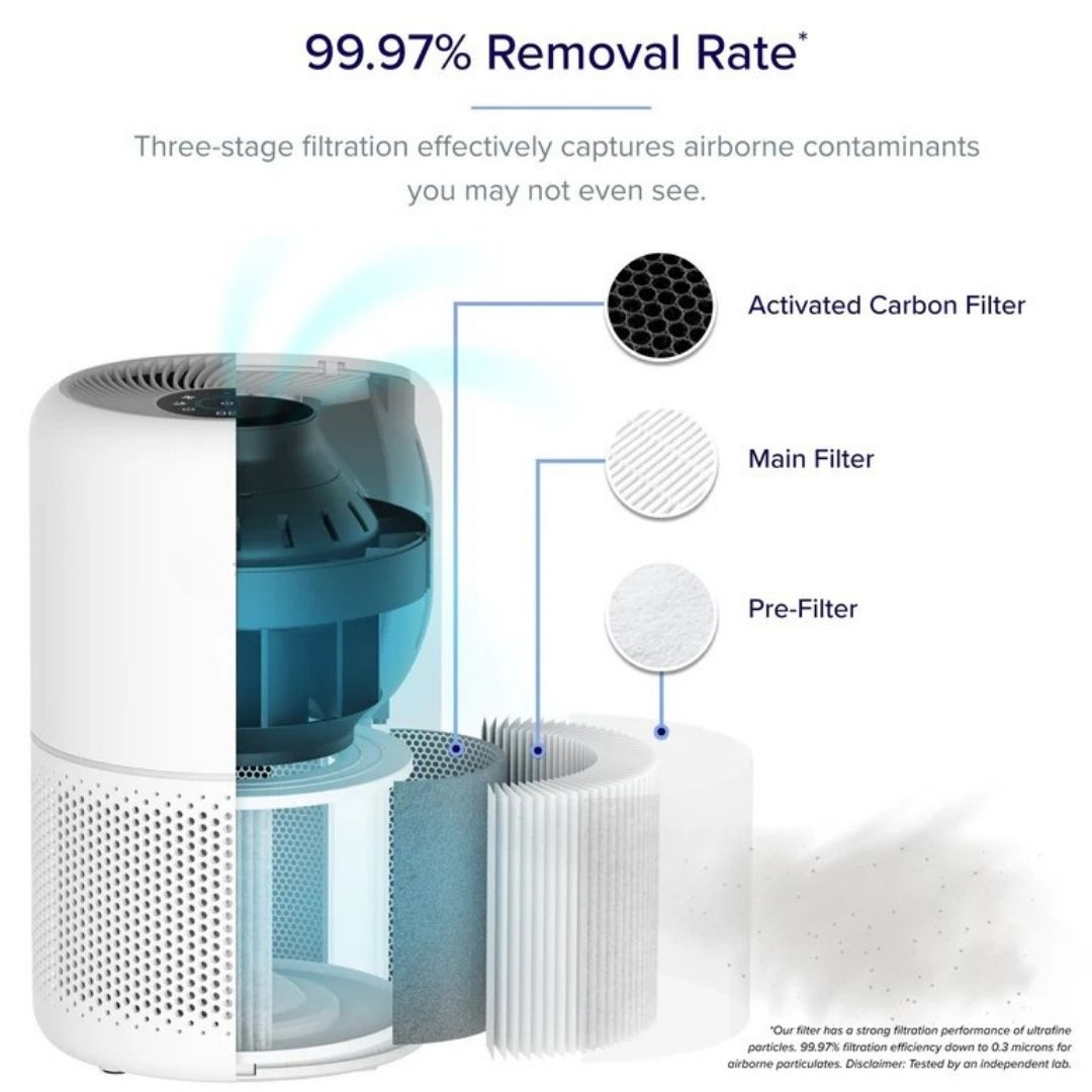 Premium Purifier for Home Allergies Pets Hair in Bedroom