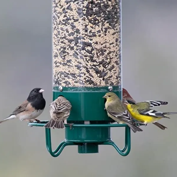 Premium Bird Feeder with Squirrel Deterrent System