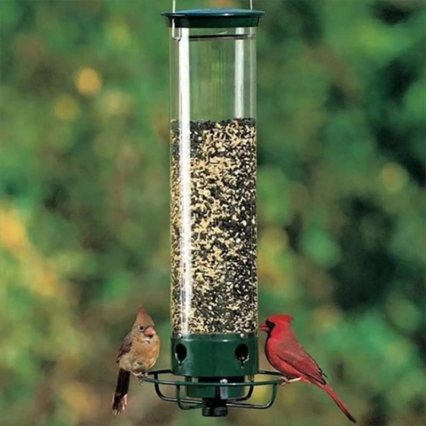 Premium Bird Feeder with Squirrel Deterrent System