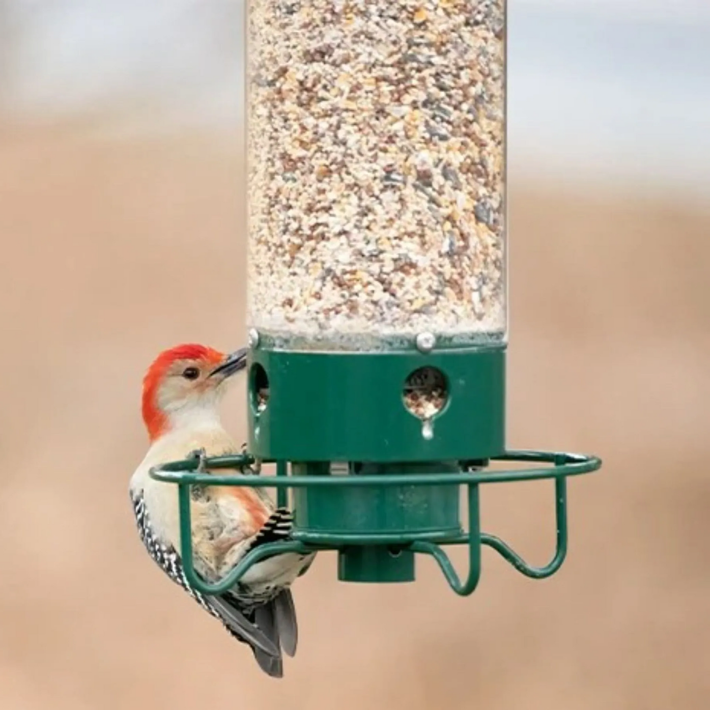 Premium Bird Feeder with Squirrel Deterrent System