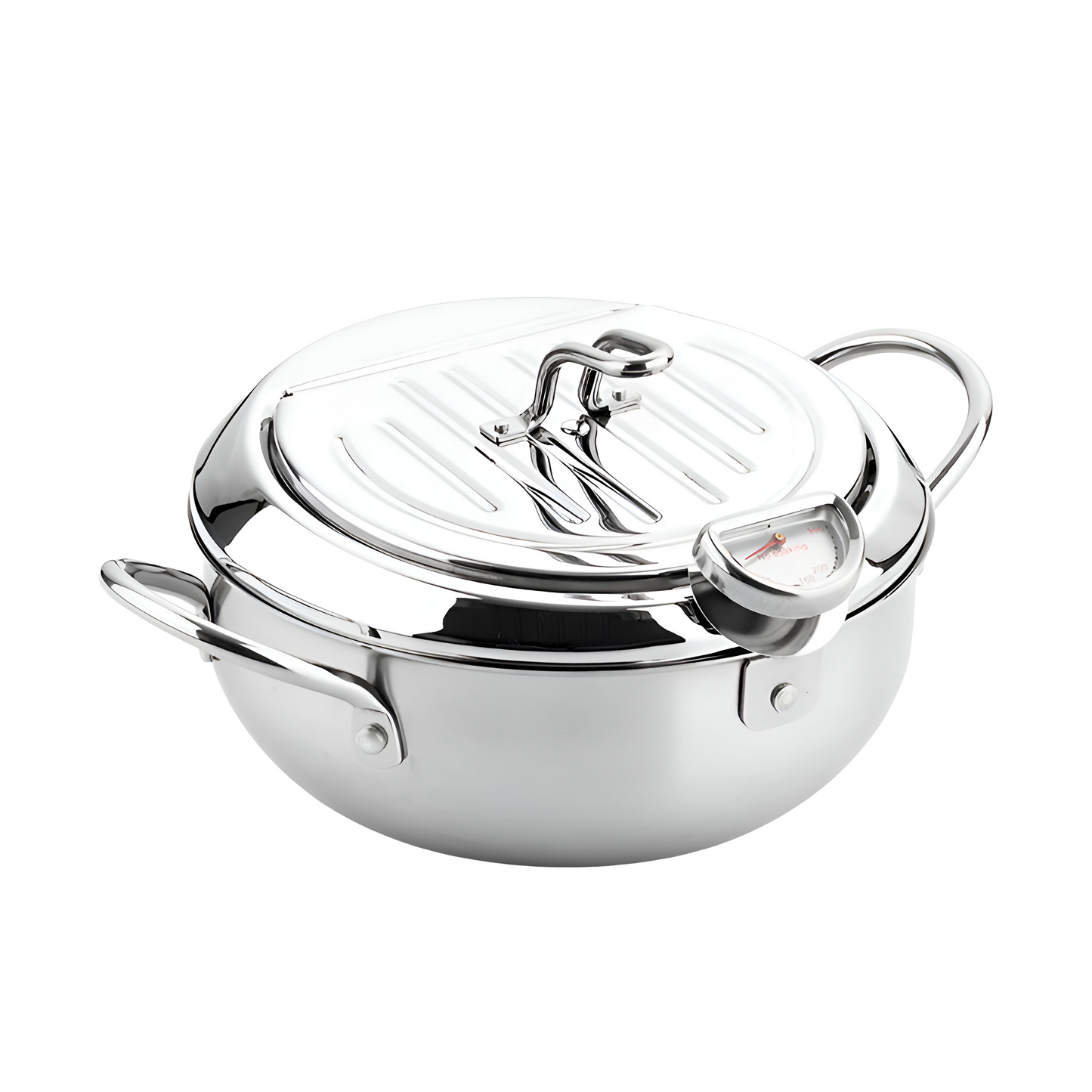 Premium Fryer Pot